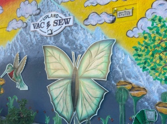 A colorful mural depicting a map of Upland, featuring illustrations of moths and butterflies among plants, created with paint and spray in an outdoor setting.